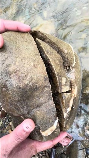 Gold quartz stone sculpting is the most sought after by many people