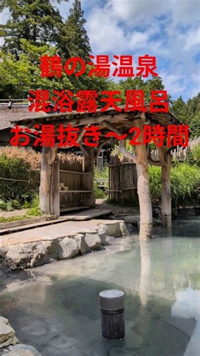 鶴の湯名物混浴露天風呂清掃後新湯が溜まりだす頃♨️#鶴の湯温泉