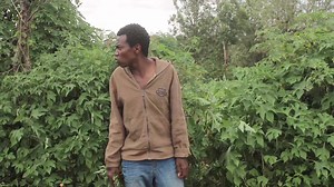 🤣🤣sina maoni Peter wamsoo | Guka wa nyumba kumi