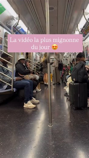 🎥 @spongecake_thescottishfold #halloween | Audacieusement Positive