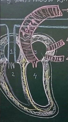 Fun with Science Drawing skills msde Easy