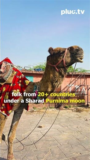 What Experts Don't Want You to Know About Rajasthan's Colorful Festivals