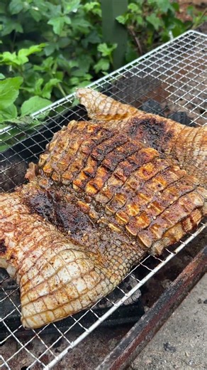 Crocodile skin is edible? Next time I'll use it to make a pair of Chelsea shoes.#MoTiktok #Fyp