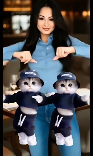 kucing joget #photoshoot #viral #fyp #trending #kucing #joget #music