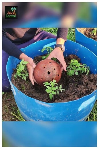 Best Methods to Make Compost Fast at Home (Step-by-Step)