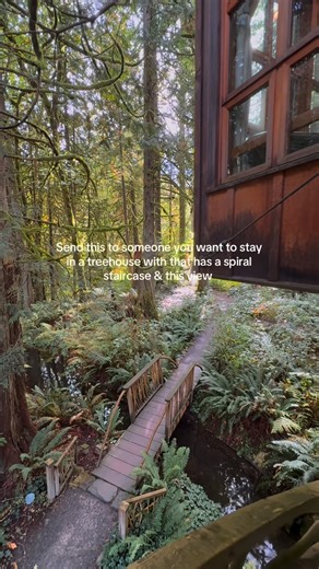 Treehouse Point on Instagram: "Stunning views and more at our treehouse bed and breakfast, tucked away in a moody forest in Washington State. We have 7 treehouses to choose from and three additional cozy accommodations.🌲✨ Tag someone you want to bring here!👇💫 #washington #treehouse #getaway #forest #romanticgetaway"