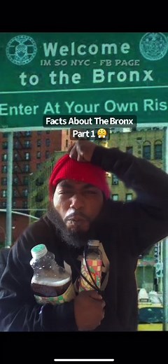 Facts About The Bronx: Unveiling the Hidden History