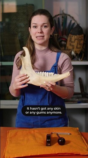 How do you play a vibraslap? - Horniman Museum and Gardens