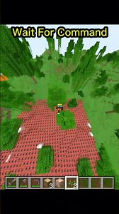 Wait For Command 💀 #minecraft #shorts