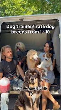 DOG TRAINER RATES BREEDS🐶 #dog #dogtraining #dogbreed