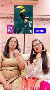 Indian bird names🦅Part-2 #spokenenglish #englishvocabulary #indianbirds #birds #youtubeshorts