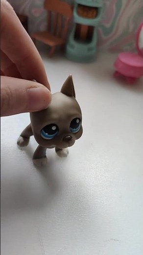 Mój LPS short już kolejny w tym roku. #littestpetshop #lps #storytime