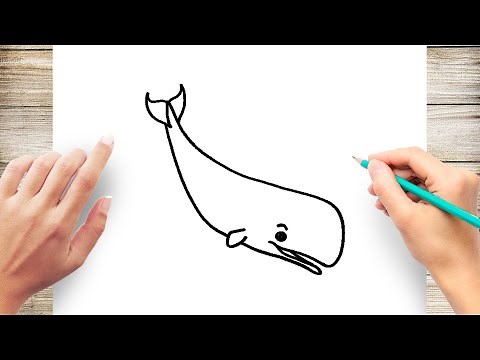 How to Draw Sperm Whale Easy