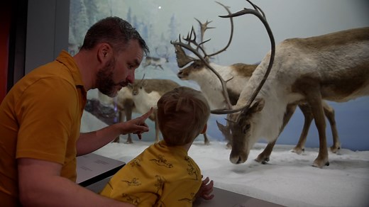 Canadian Museum of Nature