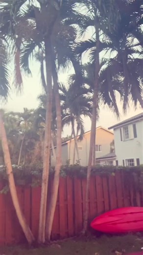 Nostalgic Sunset Moments: Reliving 2016