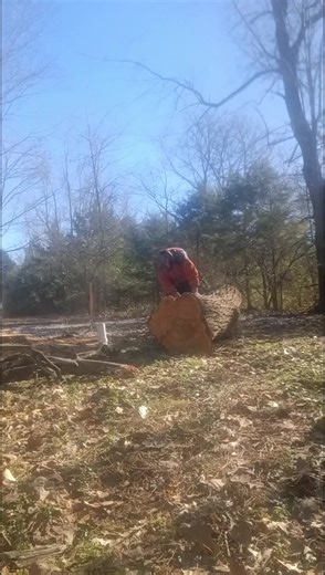 4 Leaf Property Maintenance (@christiandunegan4)’s videos with original sound - 4 Leaf Property Maintenance