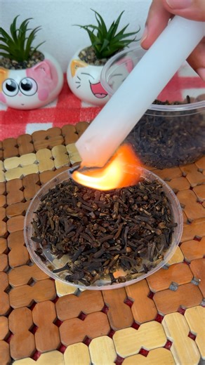 Just drip candles on the cloves!!(Homemade revealed the secret to me)😱😱 | Home Tips