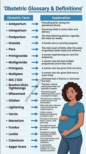 Key OB Terms Explained | Antepartum to Apgar Score Simplified