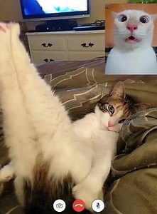 Oh my god 🥹🥹🥹 | Blogtamsu BNews Video