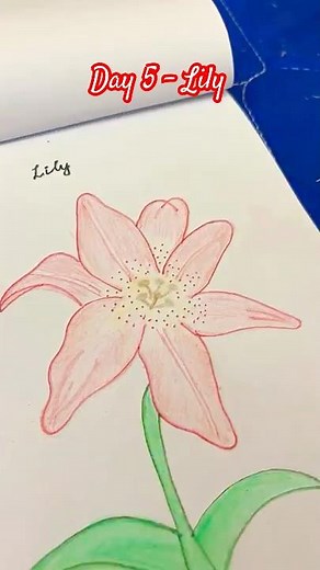Day 5 - How to Draw Lily | 30 Days Flower Drawing Challenge #flowerdrawing #artchallenge