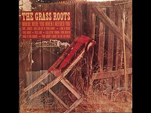 THE GRASS ROOTS - Mr Jones