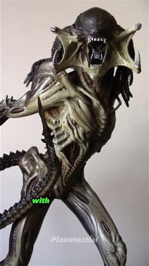 Predaliens: The Deadly Hybrids of Xenomorphs and Yautja #predalien #xenomorph #predator #yautja