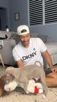 How To Make Your Dog Drop The Toy!!