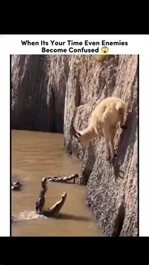 Overcoming Challenges and Finding Your Path to Success