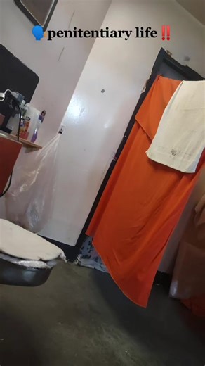 Inside the Life in Prison: A Glimpse into the Penitentiary System