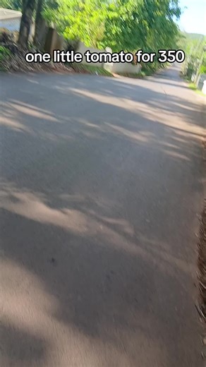 Eva bless charming 2 (@evacharming2)’s videos with original sound - Eva bless charming 2