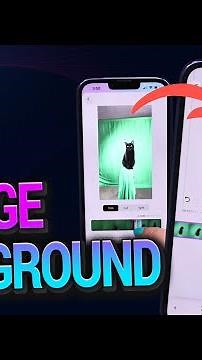 How to change video background to put your cat anywhere | FilmoraGo Mobile Editing Tutorial
