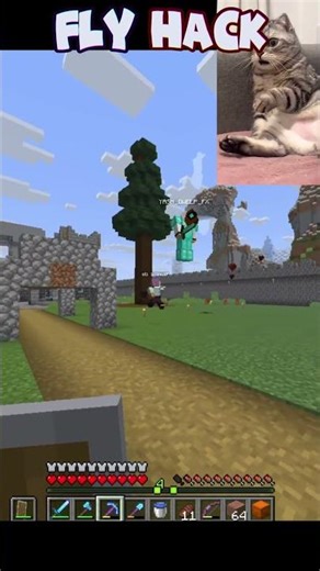 Don't you fly hack 😅👍 #minecraft #shorts