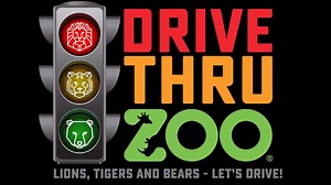 San Antonio Zoo changes gears, becoming a drive-thru