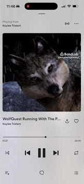 WolfQuest remix (It’s not named running with the pack I keep forgetting lol)