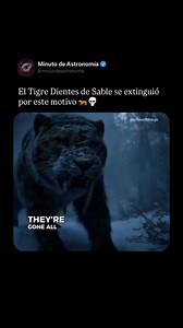 246K views · 6K reactions | Los humanos jugaron un papel clave en la...