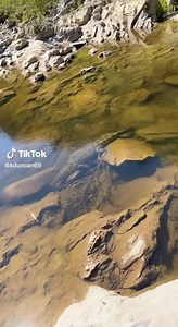 8.2M views · 300K reactions | Saw this on old tik tok bit of a laugh | Lawson White - Nature's Perks | Facebook