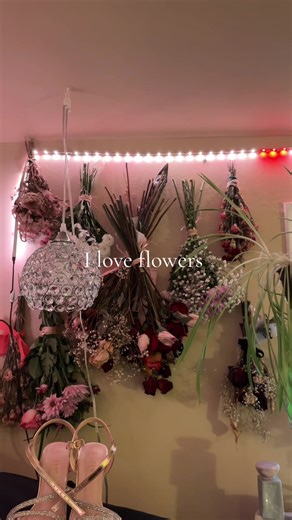 Creating a Cozy Flower Garden in Your Room