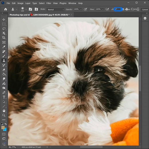 11K views · 159 reactions | How to show the dog eyes in Photoshop | Photoshop tips and tricks | Facebook