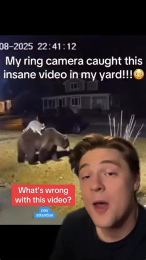 Ryan Kelly | This is very rudimentary bear physics and if you see an error in the math please feel free to correct it! I’m not a mathematician, just a... | Instagram