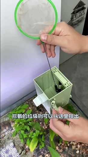 Highly Integrated Filter Box #aquascape #aquarium #fishtank