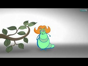 CE1 Grammaire Adjectif