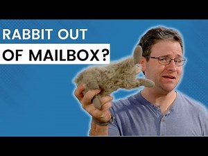 AKC Intermediate Trick Dog Title