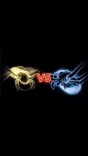 House Centipede vs Cellar Spider - Monster Bug Wars Fan-Made Battle