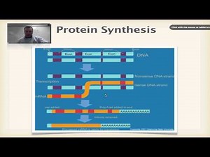 Chapter 13 Part 3 - mRNA Processing