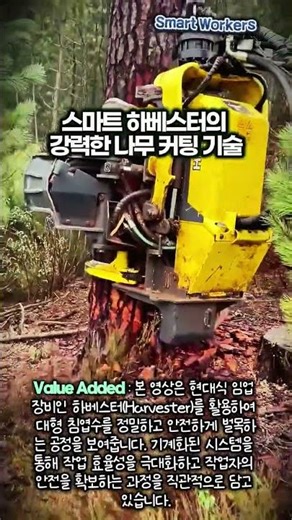 벌목 기술의 정석: 나무를 완벽하게 쓰러뜨리는 방법 #worker #process #skills #forestry #lumberjack #harvesting