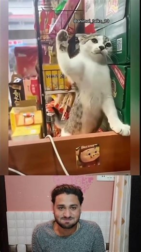 #billi comedy #viral #shorts #viralvideo #comedy #funnycomedy #comedyvideos