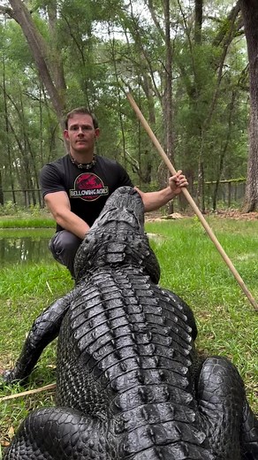 Today I was interviewed live on the air for Fox Report on Fox News to discuss the recent gator