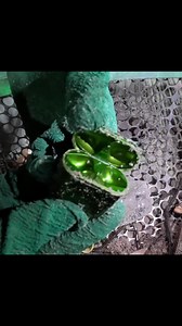 Sand sifting on Beach at night find many things | Rairum Sand Sifting