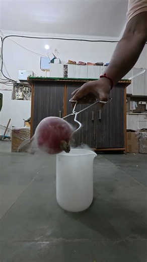 Apple VS Liquid Nitrogen