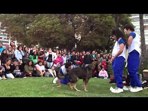 Fusion Humor en Muelle Vergara 30/03/2013